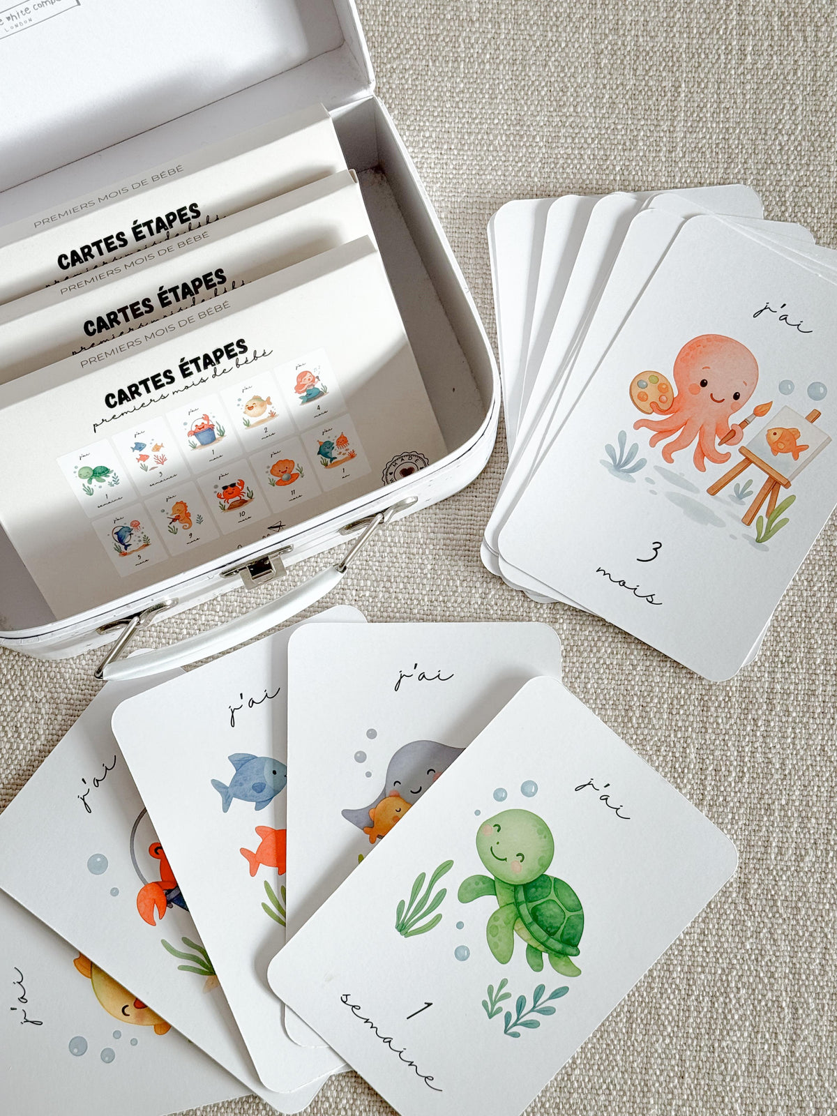 Cartes étapes premiers mois de bébé Gribouille étalées à côté de leur mallette : pieuvre, tortue et poissons illustrés